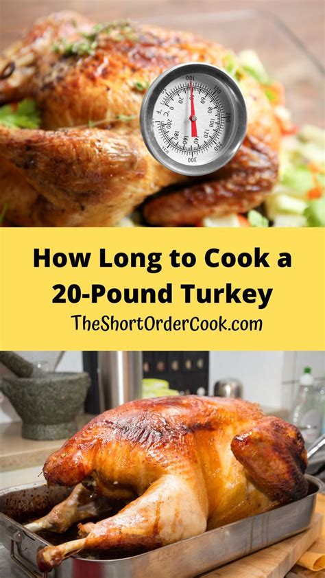 how long to cook a 20 lb turkey in an electric oven